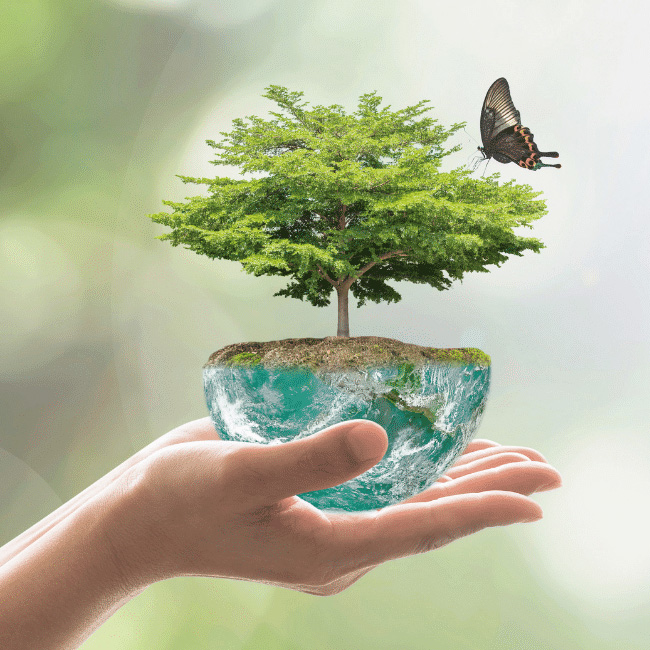 Conseil pyrotechnique